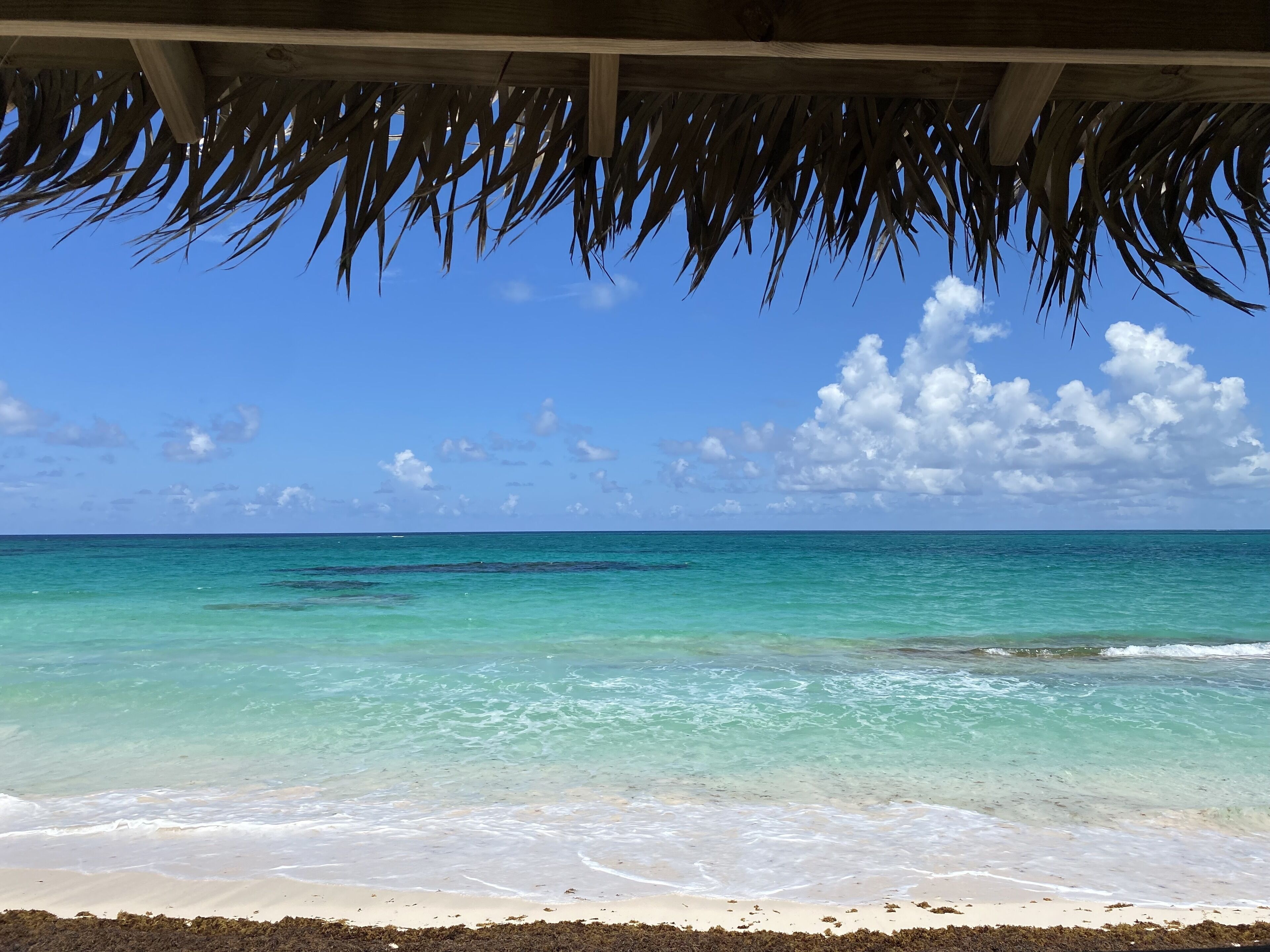 Accommodatie ligt op het strand, ligstoelen, strandlakens