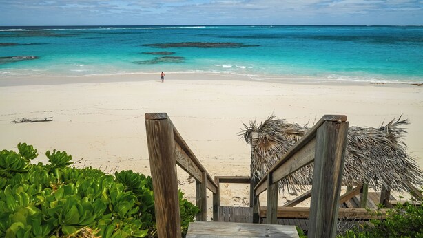 Une plage avec un escalier en bois descendant jusqu’au rivage, entourée d’une végétation luxuriante.