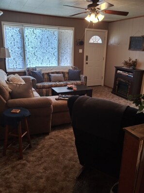 TV connectée, cheminée, lecteur de DVD, livres