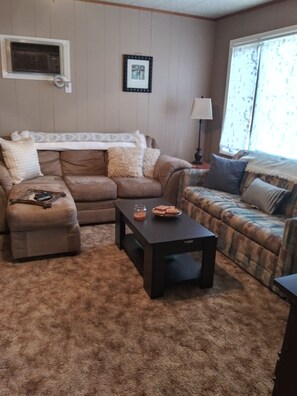 TV connectée, cheminée, lecteur de DVD, livres