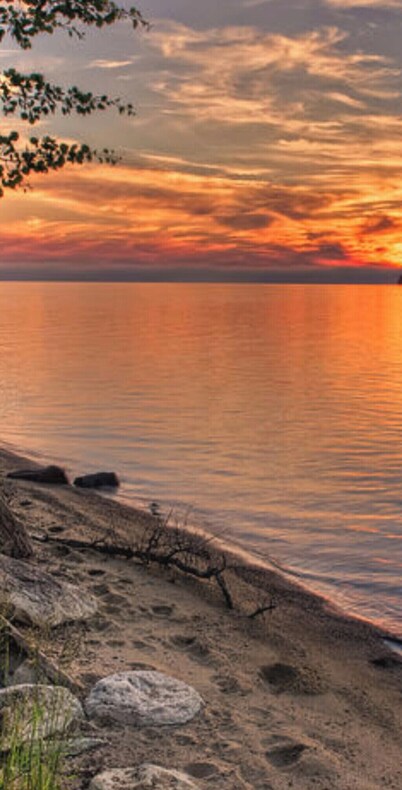 Cozy Cottage w/ Sauna & EV 14-50 Outlet!!