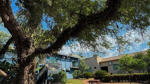 Un patio trasero con un árbol grande, mobiliario exterior y un edificio con balcones.