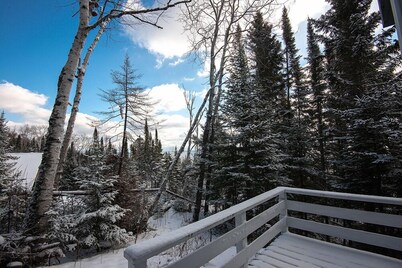 The Bear's Den At Sweet Dreams Overlook