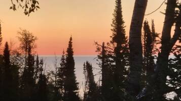 A forested area with a view of the water and a sunset.