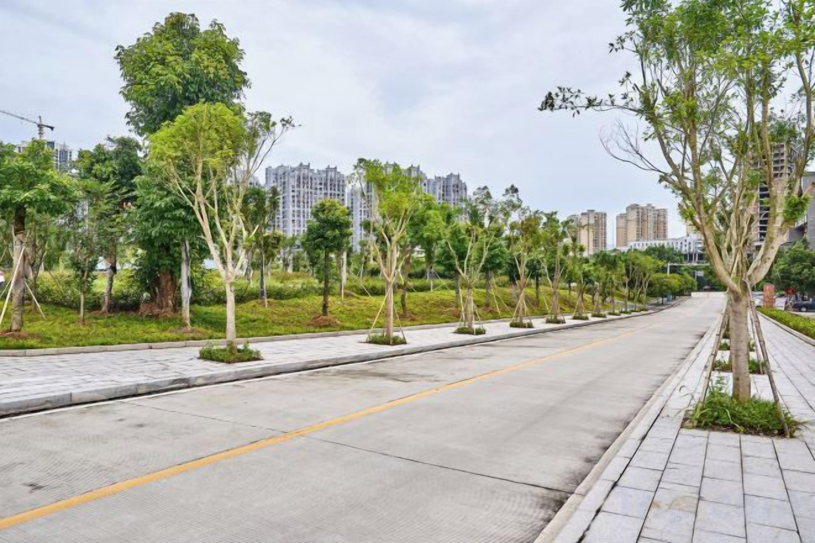 A tree-lined urban street with a sidewalk and a road.