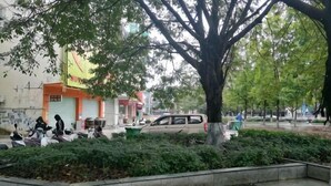 A tree-lined urban area with a paved walkway, parked vehicles, and buildings in the background. - Danxia Holiday Hotel (Hezhou)