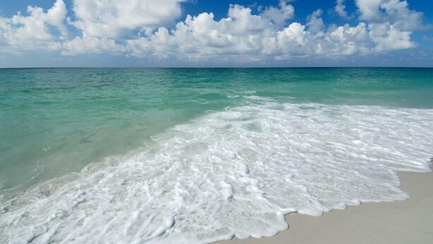 Una playa con agua turquesa cristalina y olas de espuma blanca.