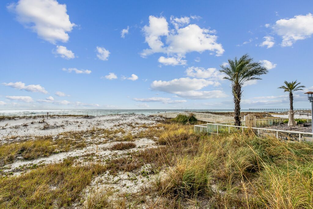 Ein Strand mit einem hölzernen Promenadenweg, Palmen und einem klaren Himmel.
