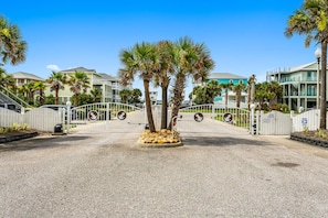 A gated entrance with palm trees, a gravel driveway, and a clear blue sky.