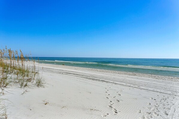 Playa en los alrededores 