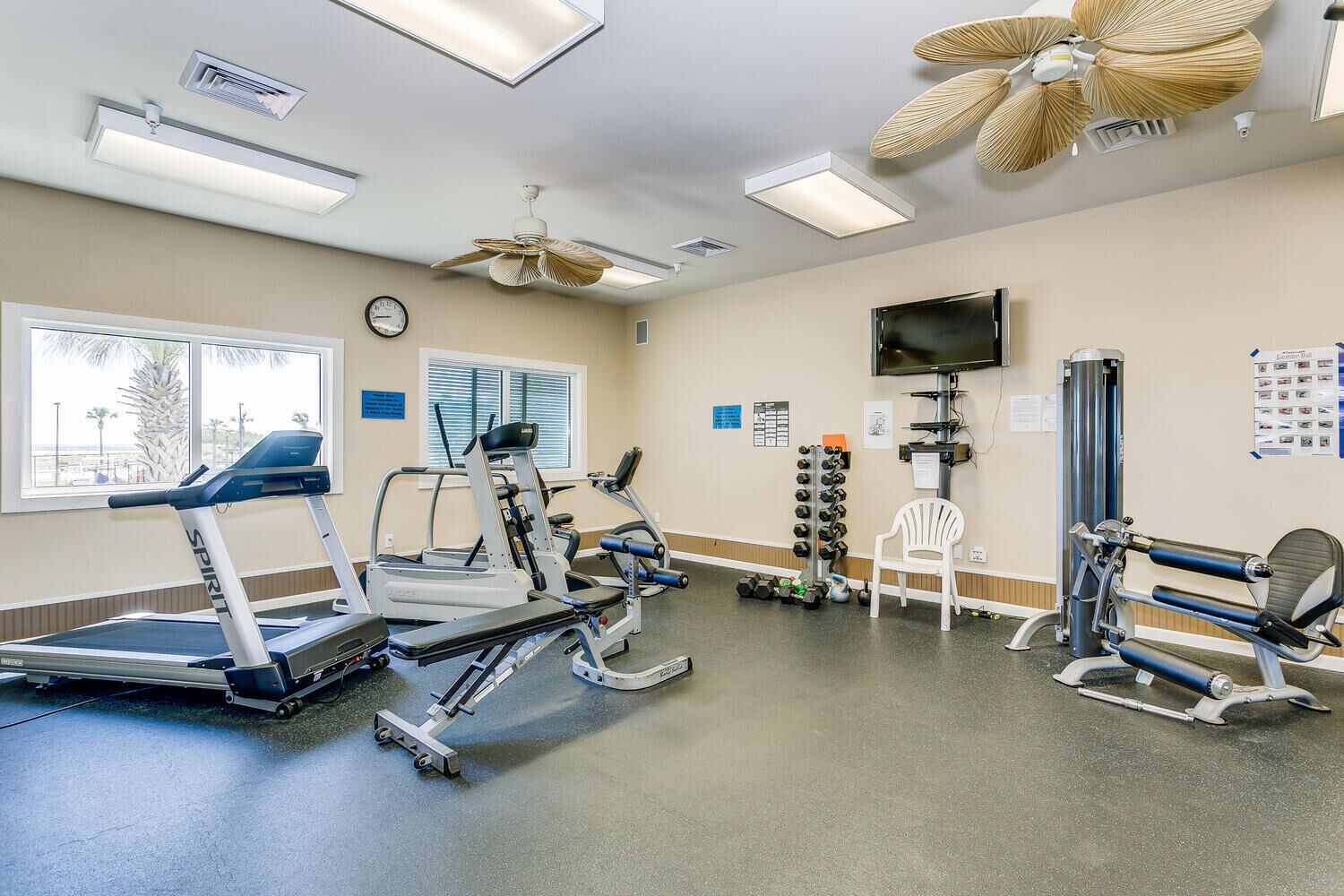 A gym with treadmills, weight machines, and a rowing machine.