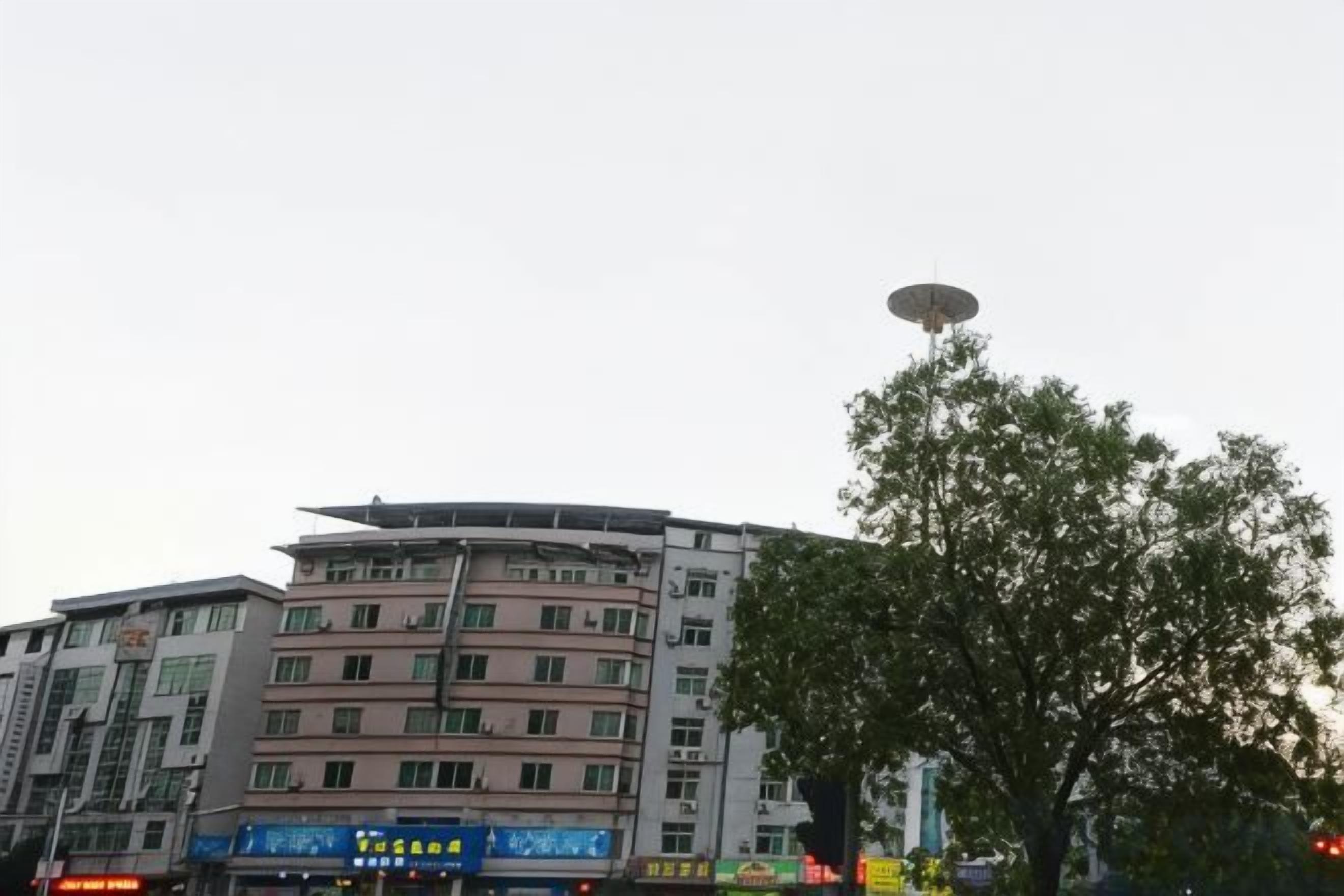 A multi-story building with a curved facade, a large tree in the foreground, and a clear sky.