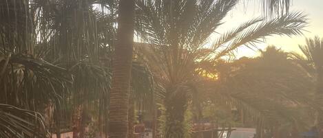 حمّام سباحة خارجي