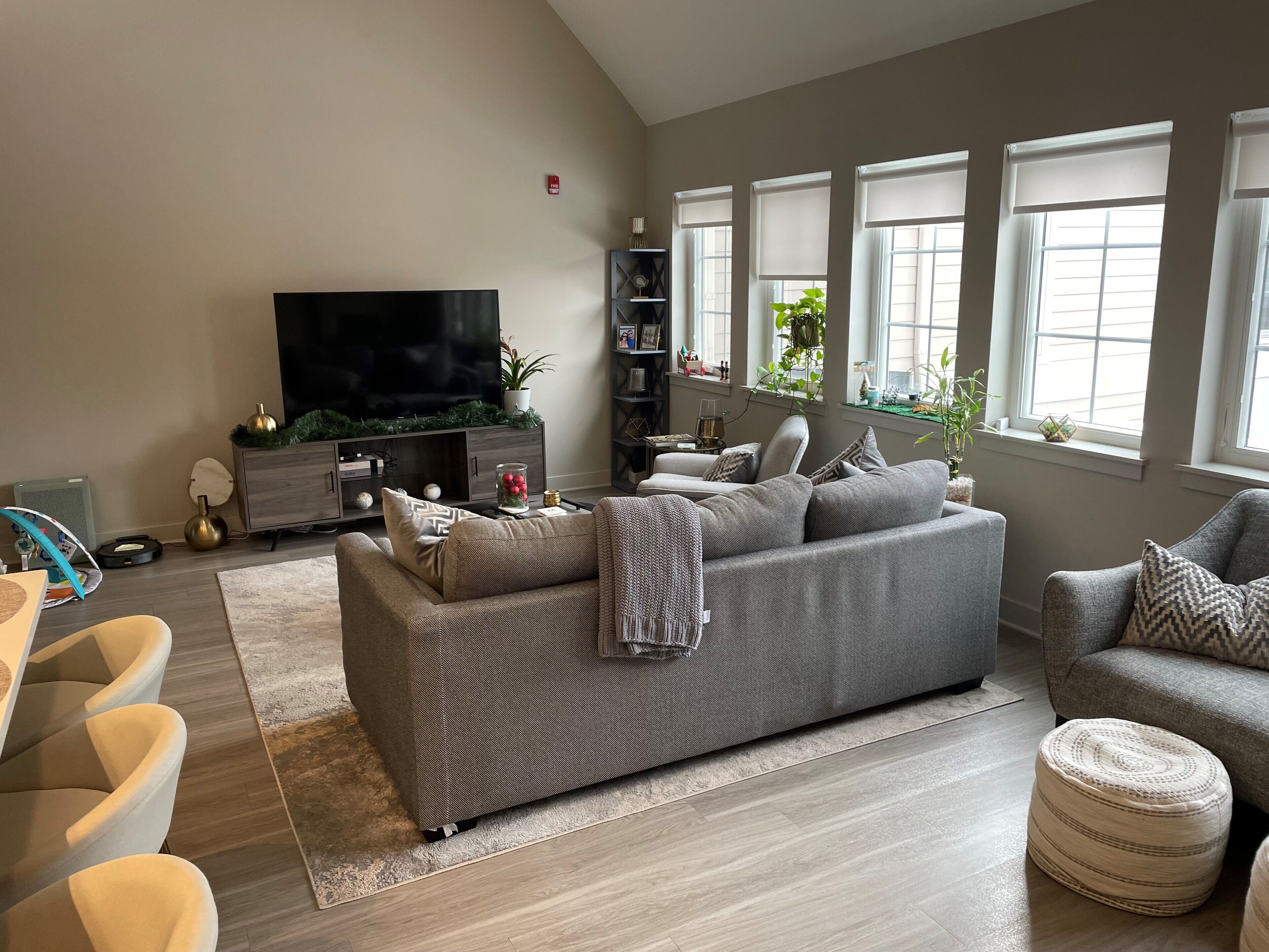 Smart TV, video games, computer monitors, printers