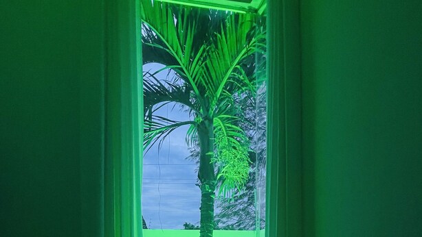 A room with a window featuring a green-lit palm tree outside. - Sea View House, Luxury and Comfort (Porto Seguro)