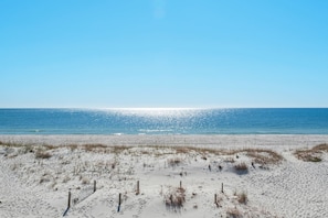 Ein sandiger Strand mit vereinzelter Vegetation und blauem Himmel.