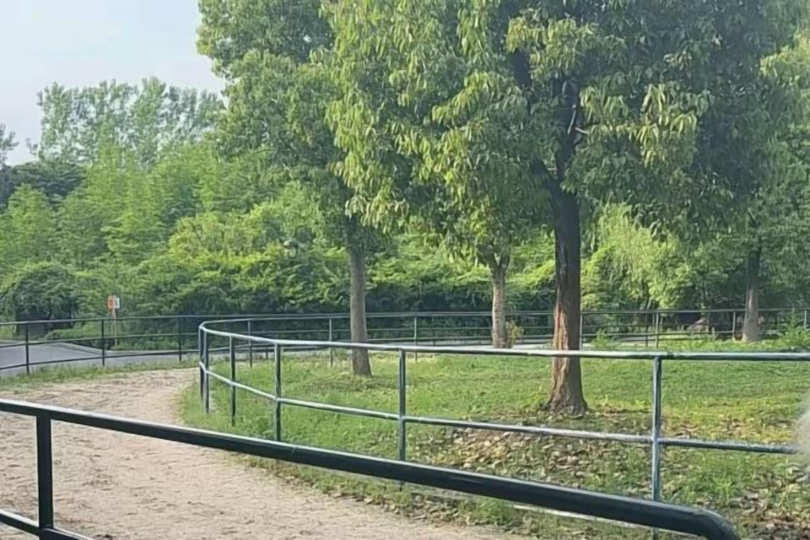 Een omheind buitengebied met een onverhard pad, bomen en een metalen hekwerk.