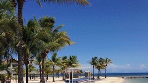 A beach with rows of sun loungers, palm trees, and a clear blue sky. - Estudio in Las Palmas (Roatan)