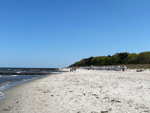 A sandy beach with a wooden pier extending into the water, a row of beach huts, and a forested area in the background. - Comfortable vacation apartment with a balcony right on the beach in Zingst - Residence (Zingst)