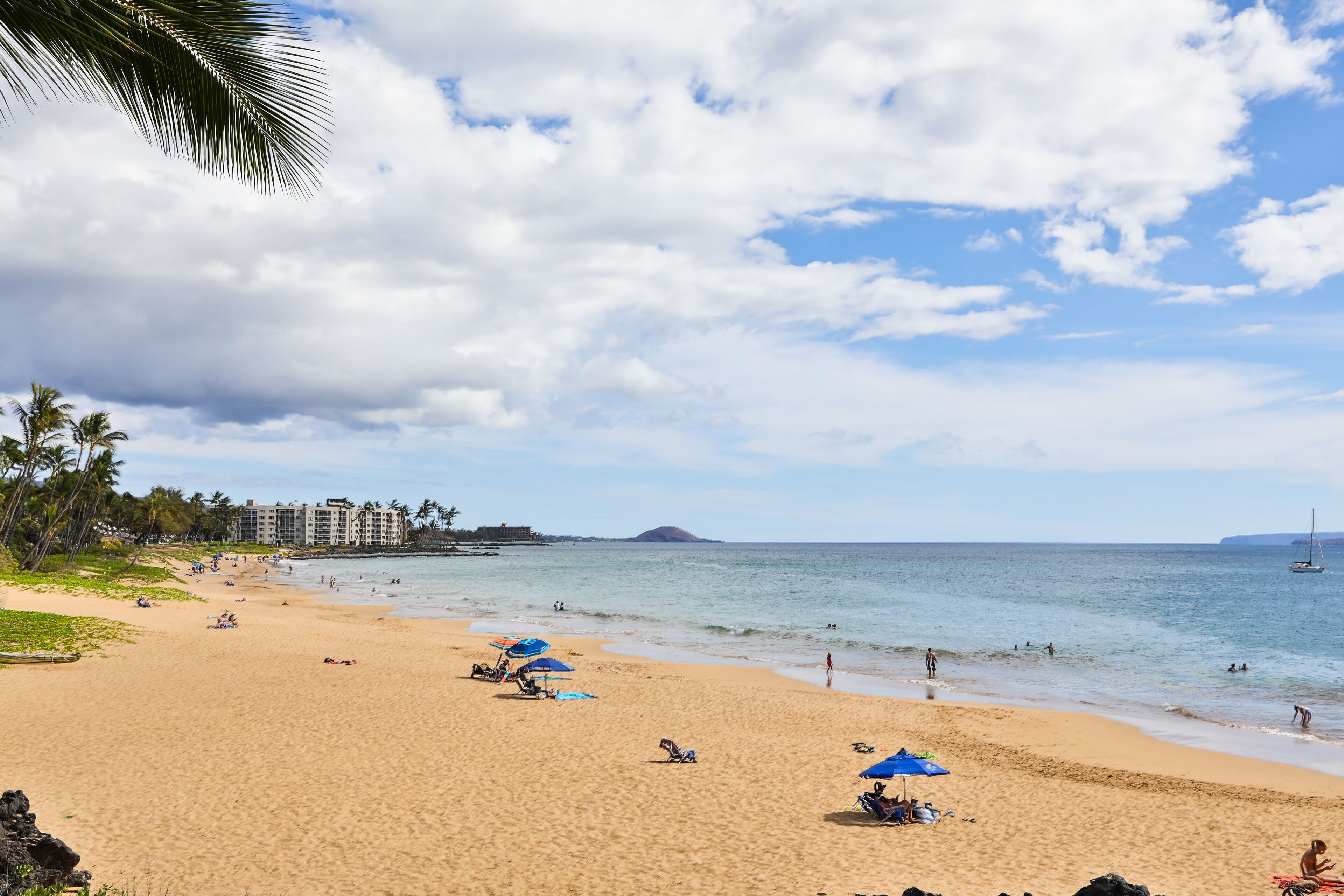 ビーチの近く、ビーチタオル