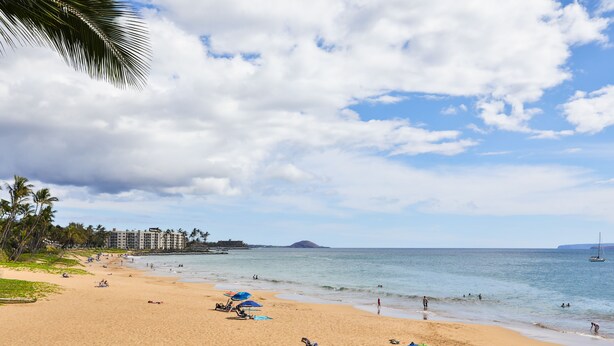 Una playa con cielos despejados, palmeras y un mar tranquilo.