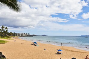 A beach with clear skies, palm trees, and a calm sea.