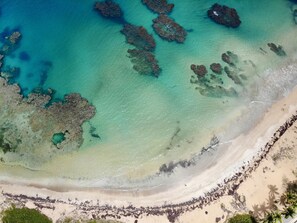 Plage à proximité, chaises longues, serviettes de plage