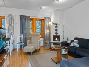 TV, fireplace, DVD player