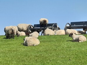 Botón de imagen sin clasificar, 5 de 30