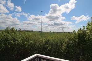 Property grounds - Seeschwalbe - Apartment (60sqm) for 4 persons with balcony near the beach (Norden)