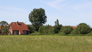 A house with a red roof, surrounded by a grassy field and trees. - Sandrose - Semi-detached house (85sqm) for 4 persons with garden in a direct (Norden)