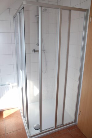 Shower, hair dryer, bidet