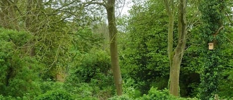 Boendeområde