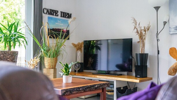 Una sala de estar con un televisor sobre un mueble de madera, una planta en maceta y un cartel en la pared.