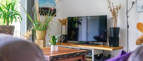 Televisión, reproductor de DVD, estéreo