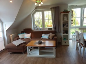 Télévision, cheminée, lecteur de DVD, chaßne hi-fi