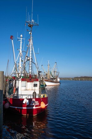 Luokittelematon kuva, 2 kautta 58, painike