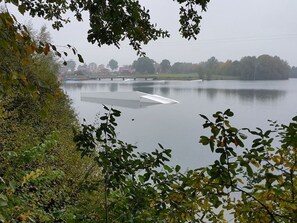 Oklassificerad bild, 5 av 34, knapp