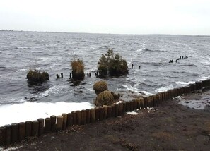 Oklassificerad bild, 3 av 34, knapp