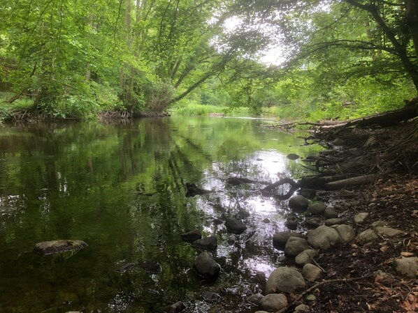 Unclassified image, 1 of 50, button