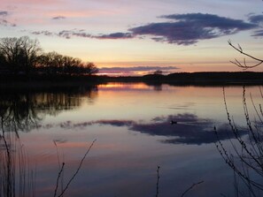 Immagine non classificata, 4 di 50, pulsante