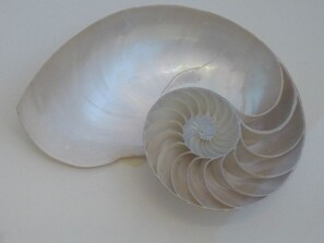 Détail de l’intérieur