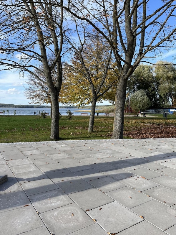 A paved walkway with trees and a view of a lake.