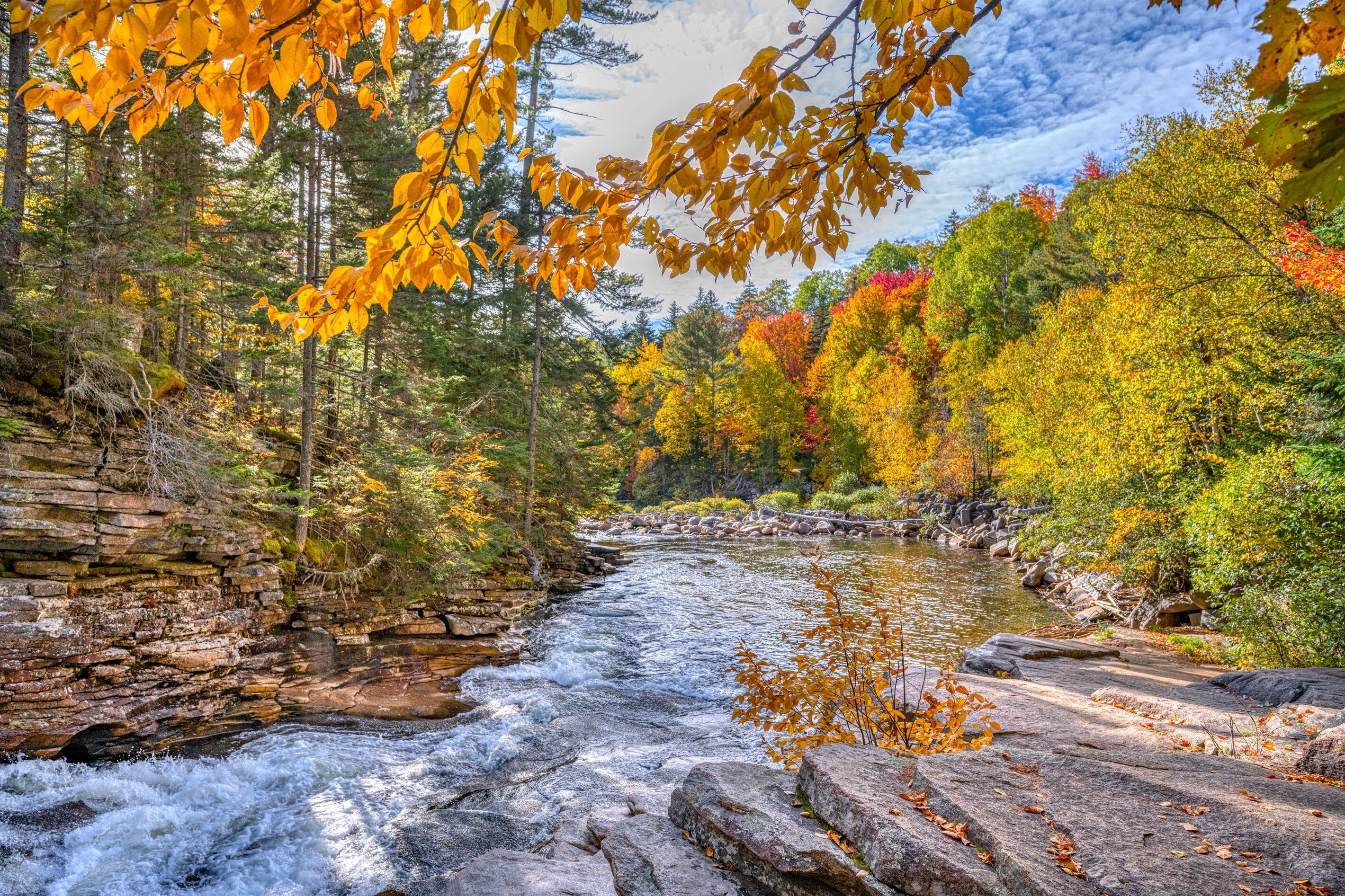 Une rivière qui traverse une forêt aux couleurs automnales.