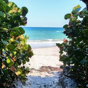 Beach nearby, sun loungers, beach towels