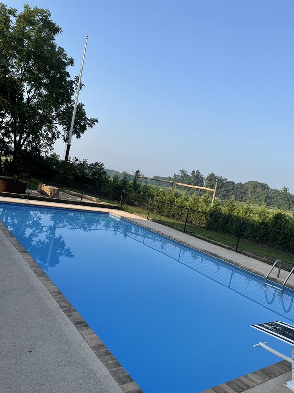 Guests can enjoy a refreshing swim in the pool surrounded by lush greenery.
