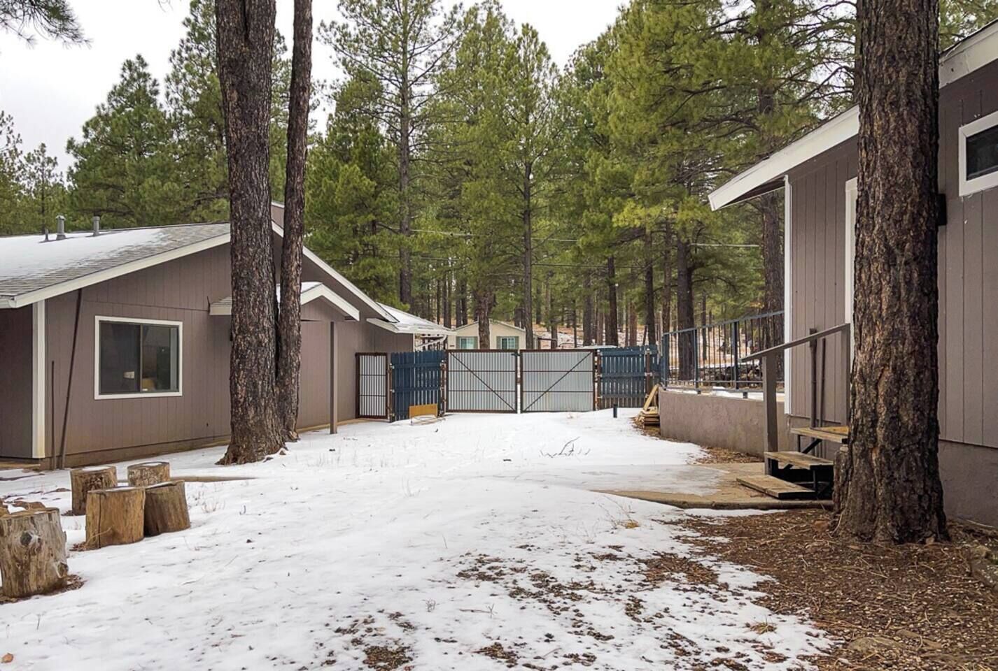 A cabin with a snow-covered ground, surrounded by tall trees.