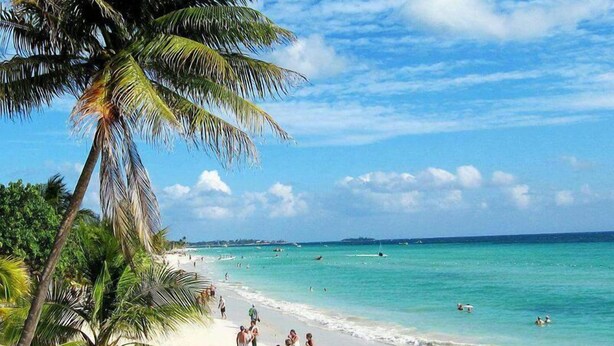 A beach with palm trees, clear turquoise water, and people enjoying the beach. - Apt - Sleeps 5 - Garden - Parking - Balcony (Trelawny)