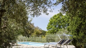 Una piscina con sillas de descanso, rodeada de vegetación y un patio de piedra.