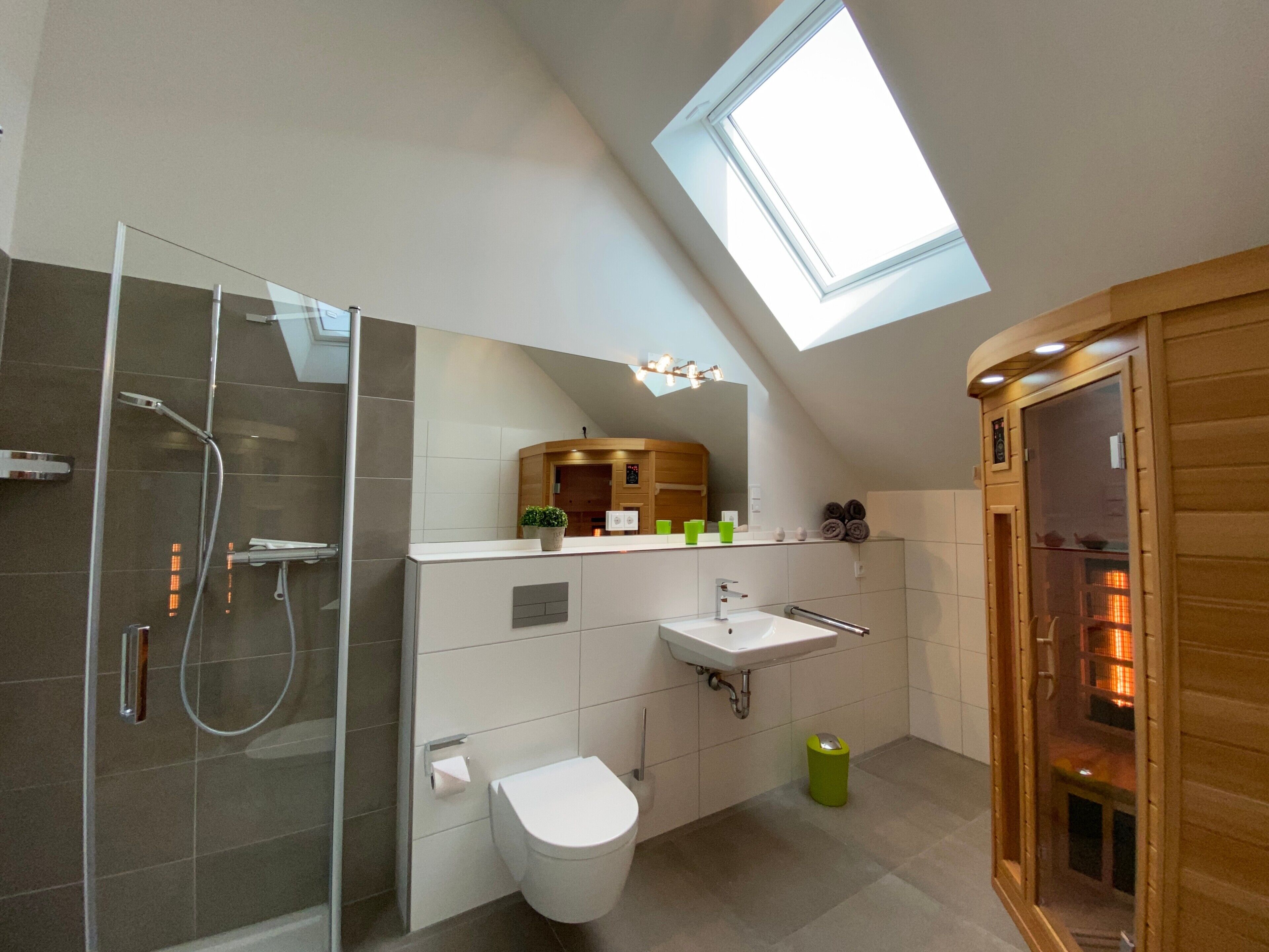 Shower, hair dryer